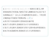 9.5物体的浮与沉课件-- 2024-2025学年苏科版物理八年级下册