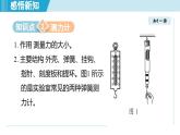 北師大版（2024）八年級物理下冊課件 7.2力的測量 彈力
