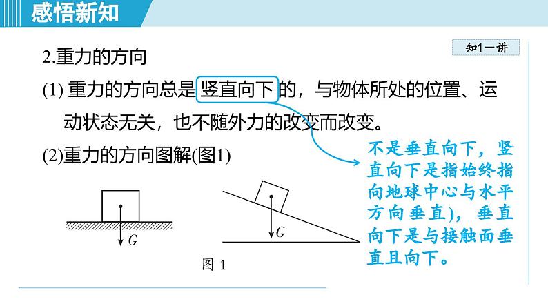 北师大版（2024）八年级物理下册课件 7.3重力第4页