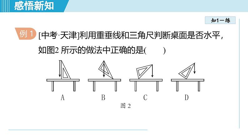 北师大版（2024）八年级物理下册课件 7.3重力第7页