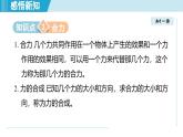 北師大版（2024）八年級物理下冊課件 7.4同一直線上二力的合成