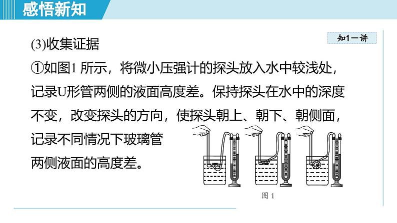 北师大版（2024）八年级物理下册课件 8.2液体压强第6页