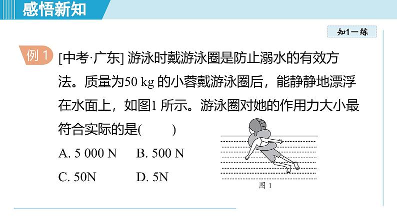 北师大版（2024）八年级物理下册课件 8.7物体的浮沉条件及其应用第7页