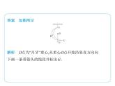 专项素养综合全练(一)　力的示意图课件- 2024-2025学年苏科版物理八年级下册