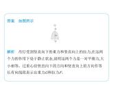 专项素养综合全练(三)　力的示意图(二)课件-- 2024-2025学年苏科版物理八年级下册