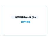 专项素养综合全练(九)　跨学科专题课件 2024-2025学年苏科版物理八年级下册