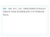 专项素养综合全练(九)　跨学科专题课件 2024-2025学年苏科版物理八年级下册