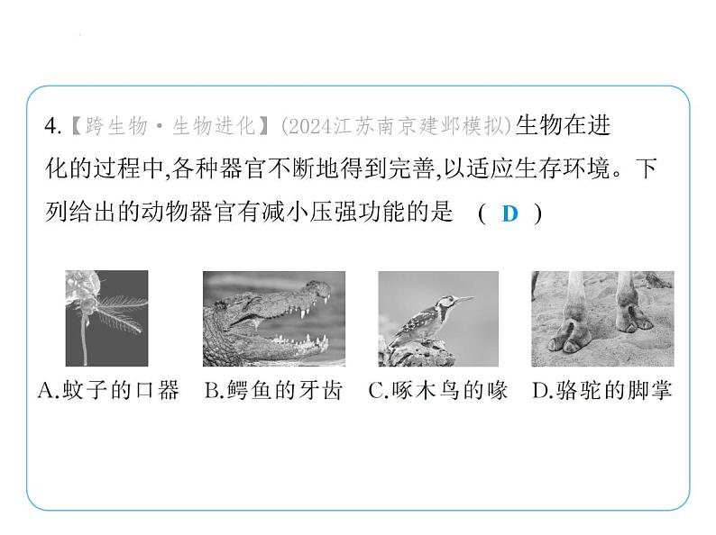 专项素养综合全练(九)　跨学科专题课件 2024-2025学年苏科版物理八年级下册第8页