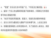 人教版（2024） 八年級(jí)上冊(cè)物理第六章 質(zhì)量與密度 測(cè)試卷課件