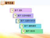 人教版（2024） 八年級(jí)上冊(cè)物理：第五章 透鏡及其應(yīng)用 復(fù)習(xí)課件