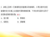 人教版（2024） 八年级上册物理第五章 透镜及其应用 测试卷课件