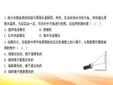 人教版（2024） 八年级上册物理第四章 光现象 测试卷课件