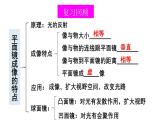 初中物理新北师大版八年级上册第四章 光现象整理与复习教学课件2024秋