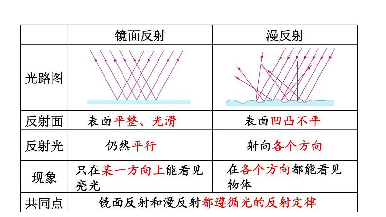 初中物理新教科版八年级上册第四章 光的世界复习题教学课件2024秋第5页