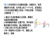 初中物理新沪科版八年级全册第三章 光的世界复习教学课件2024秋