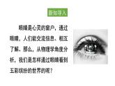 初中物理新滬科版八年級全冊第四章第三節(jié)第一課時 眼睛與視力矯正教學(xué)課件2024秋