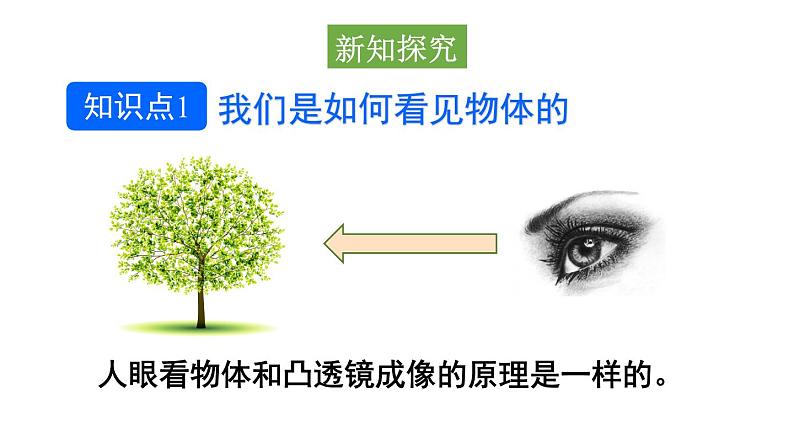 初中物理新沪科版八年级全册第四章第三节第一课时 眼睛与视力矫正教学课件2024秋第4页