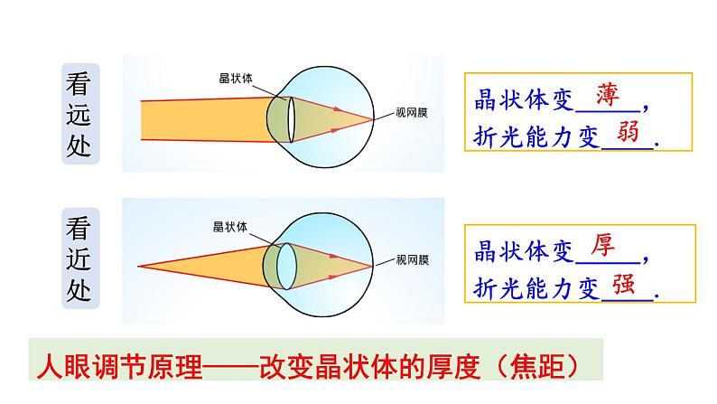 初中物理新沪科版八年级全册第四章第三节第一课时 眼睛与视力矫正教学课件2024秋第8页