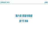 6.1 质量课件   2024-2025学年人教版八年级上册物理