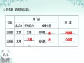 第五章透鏡及其應(yīng)用復(fù)習(xí)課課件　2024-2025學(xué)年人教版初中物理八年級(jí)上冊(cè)