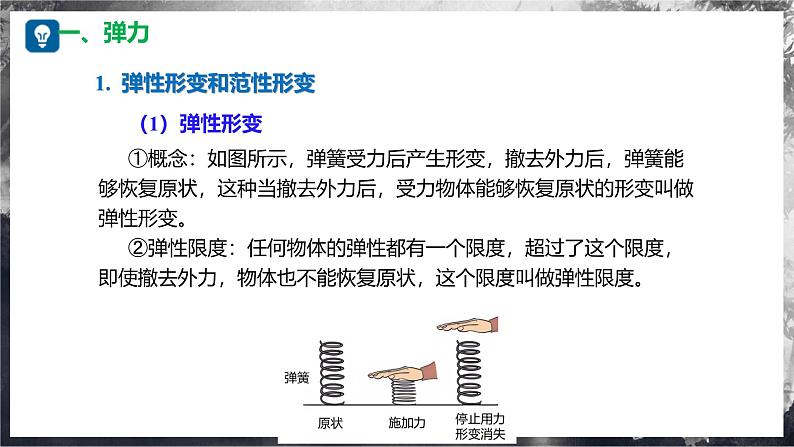 6.2+测量：用弹簧测力计测量力（教学课件） 第6页