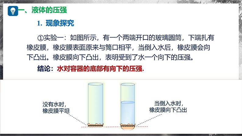 8.2+探究：液体压强与哪些因素有关（教学课件） 第6页