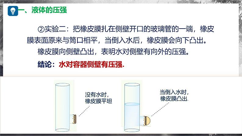 8.2+探究：液体压强与哪些因素有关（教学课件） 第7页