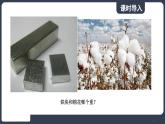北师大版（2024）物理八年级下册----6.1 物体的质量及其测量(课件）
