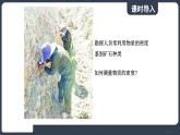 北师大版（2024）物理八年级下册----6.3 密度的测量与应用(课件）