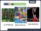 北师大版（2024）物理八年级下册----7.3 重力(课件）