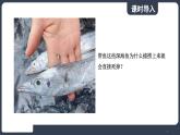 北师大版（2024）物理八年级下册----8.2 液体压强(课件）