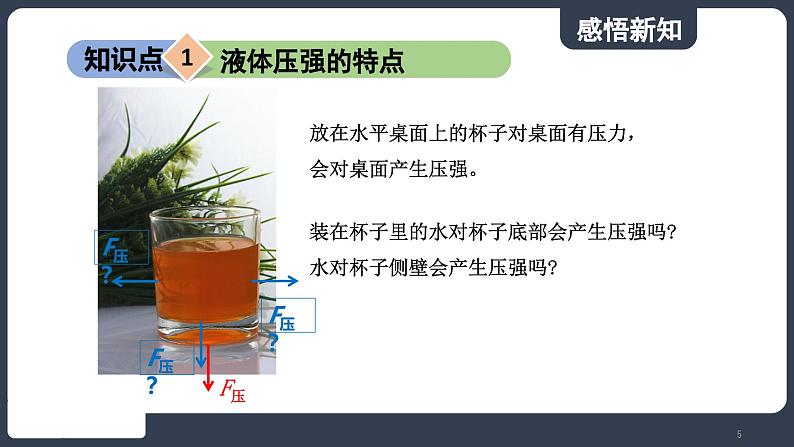 北师大版（2024）物理八年级下册----8.2 液体压强(课件）第5页