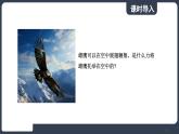北師大版（2024）物理八年級(jí)下冊(cè)----8.5 流體壓強(qiáng)與流速的關(guān)系(課件）