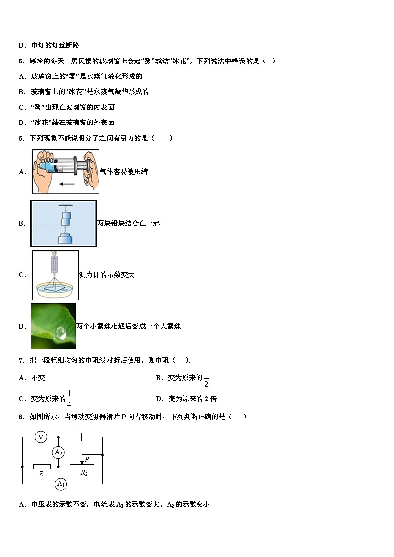 2023-2024学年天津市重点中学物理九下监测试题第2页