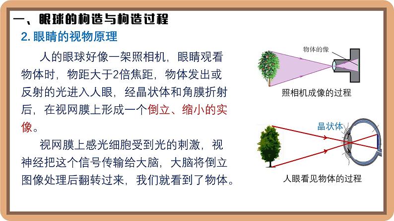 5.4 爱眼宣传公益行-初中物理八年级上册 同步教学课件（北师大版2024）第6页