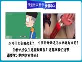 人教版（2024）物理八年級下冊--9.5 流體壓強與流速的關(guān)系（課件）