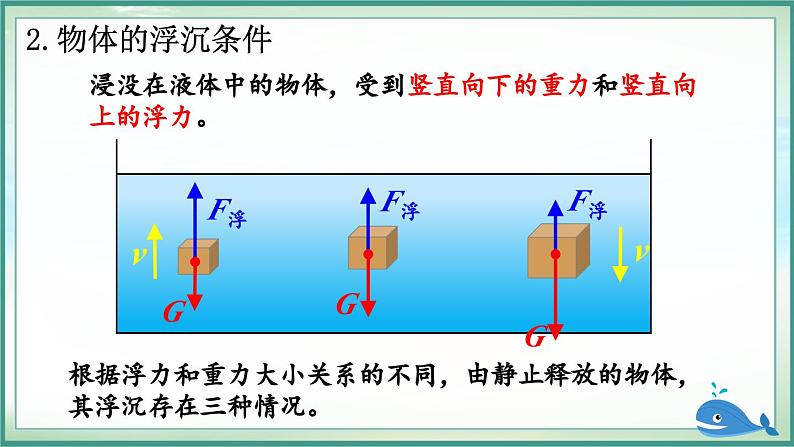 第1课时 物体的浮沉条件第5页