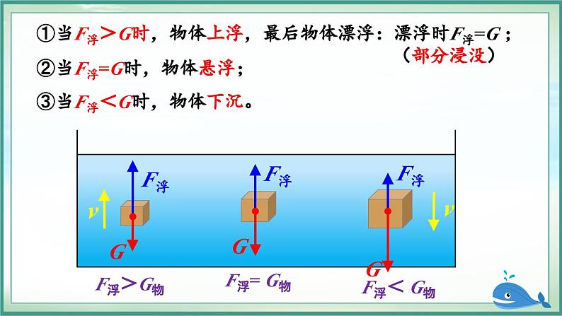 第1课时 物体的浮沉条件第6页