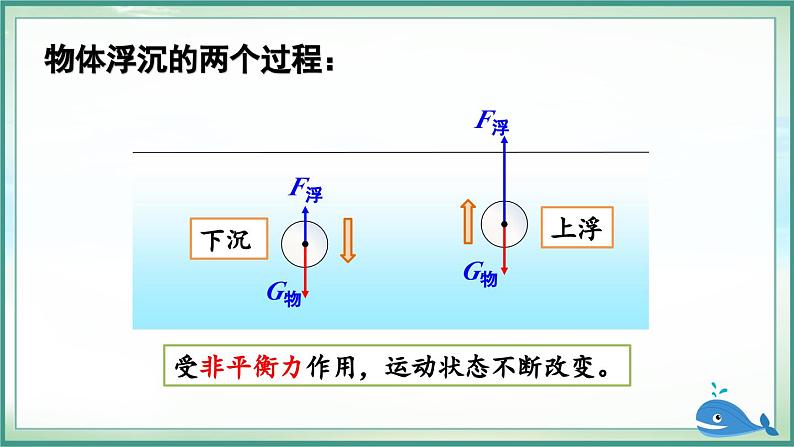 第1课时 物体的浮沉条件第7页