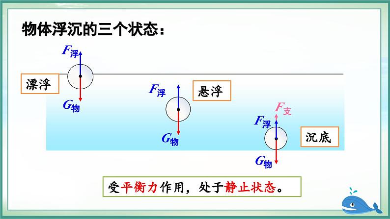 第1课时 物体的浮沉条件第8页