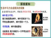 滬科版（2024）八年級物理全一冊--7.2 力的合成（課件）
