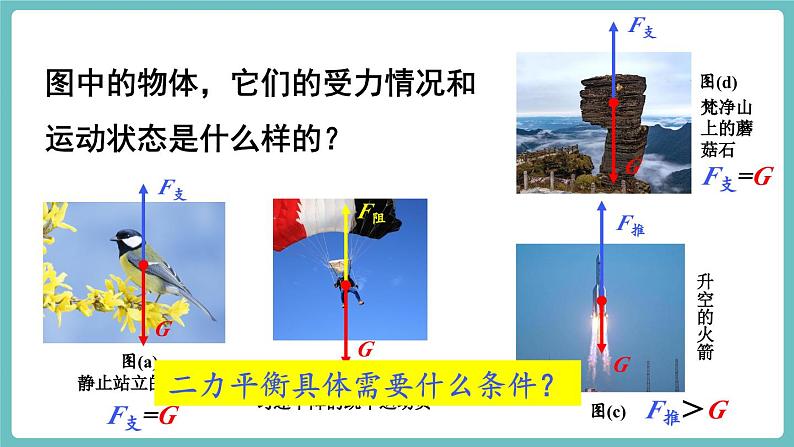 第三节 二力平衡第6页