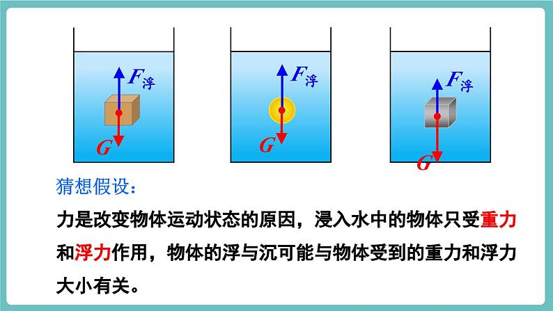 第1课时 物体的浮沉条件第5页