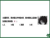 第七章 力全章热门考点整合专训课件-（2024版）人教版物理八年级下学期
