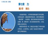 7.2彈力課件-（2024版）人教版物理八年級下學(xué)期