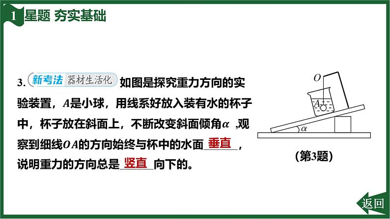 第3节 重力课件-（2024版）人教版物理八年级下学期第4页