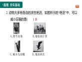 9.1.2 壓強(qiáng)的應(yīng)用課件-（2024版）人教版物理八年級(jí)下學(xué)期