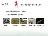11.3动能和势能课件-（2024版）人教版物理八年级下学期