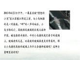 11.3动能和势能课件-（2024版）人教版物理八年级下学期