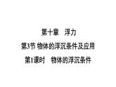 10.3.1物体的浮沉条件课件-（2024版）人教版物理八年级下学期